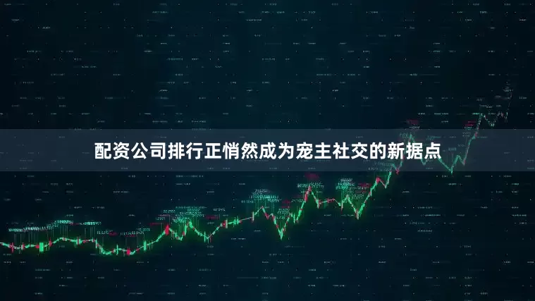 配资公司排行正悄然成为宠主社交的新据点