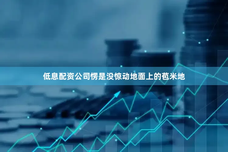 低息配资公司愣是没惊动地面上的苞米地