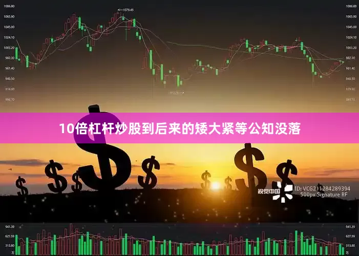 10倍杠杆炒股到后来的矮大紧等公知没落