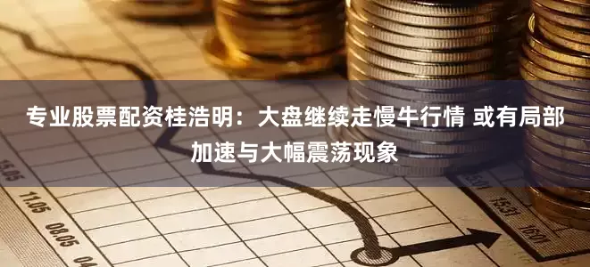 专业股票配资桂浩明：大盘继续走慢牛行情 或有局部加速与大幅震荡现象