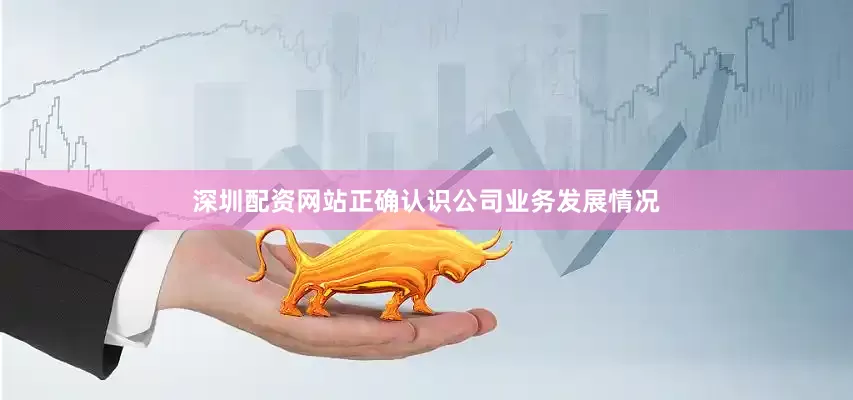 深圳配资网站正确认识公司业务发展情况